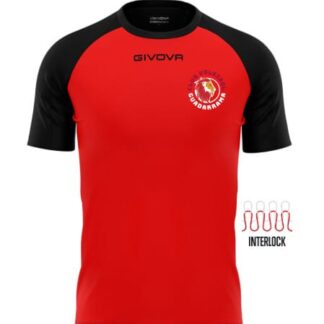 Camiseta de entrenamiento  25/26