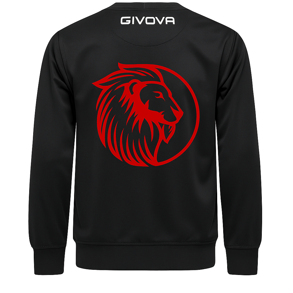 Sudadera sencilla club